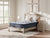 Sleep & Bedding