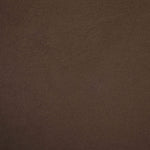 Cedra - Velvet Performance Fabric Upholstered Accent Chair - Brown Frame