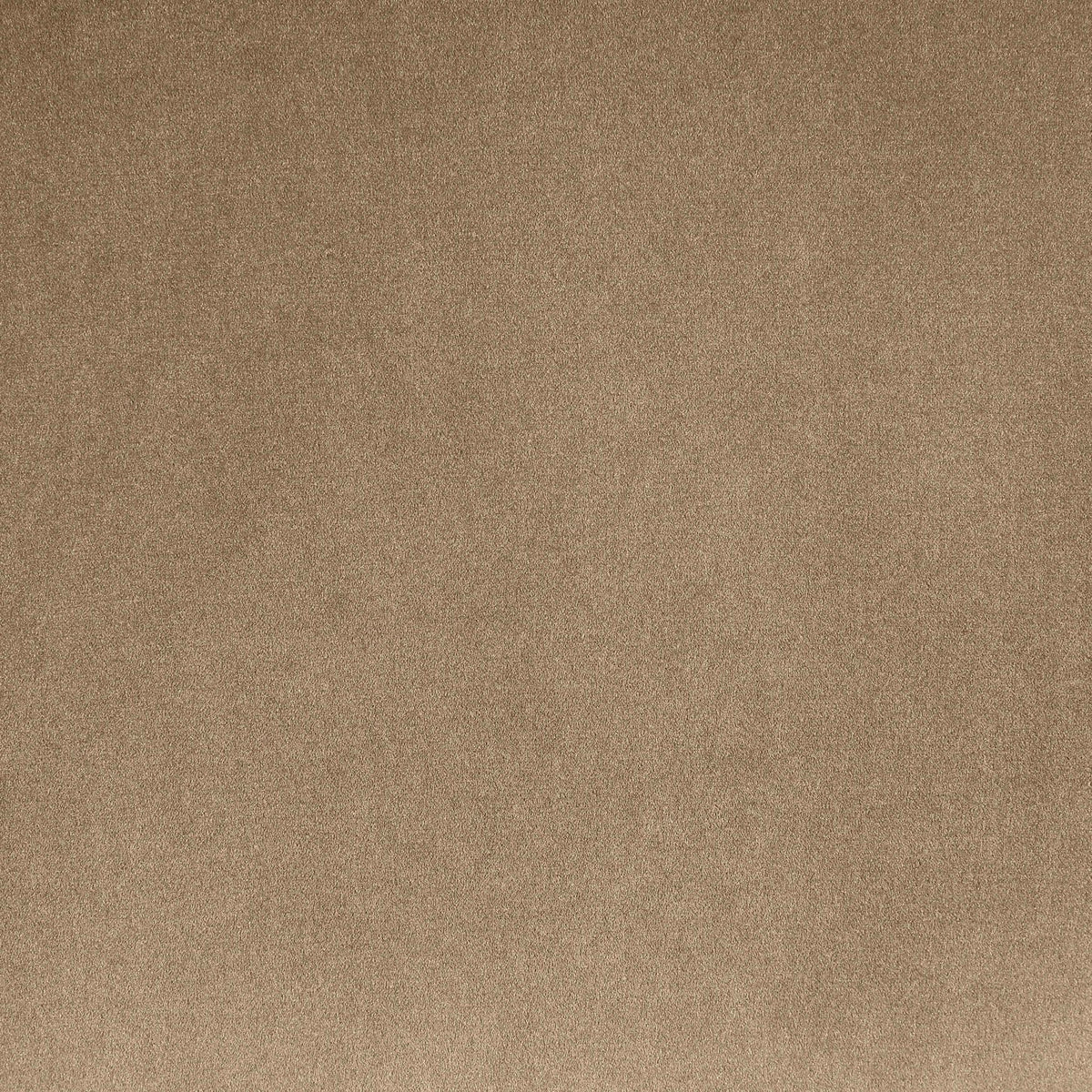 Dawson - Velvet Upholstered Bed
