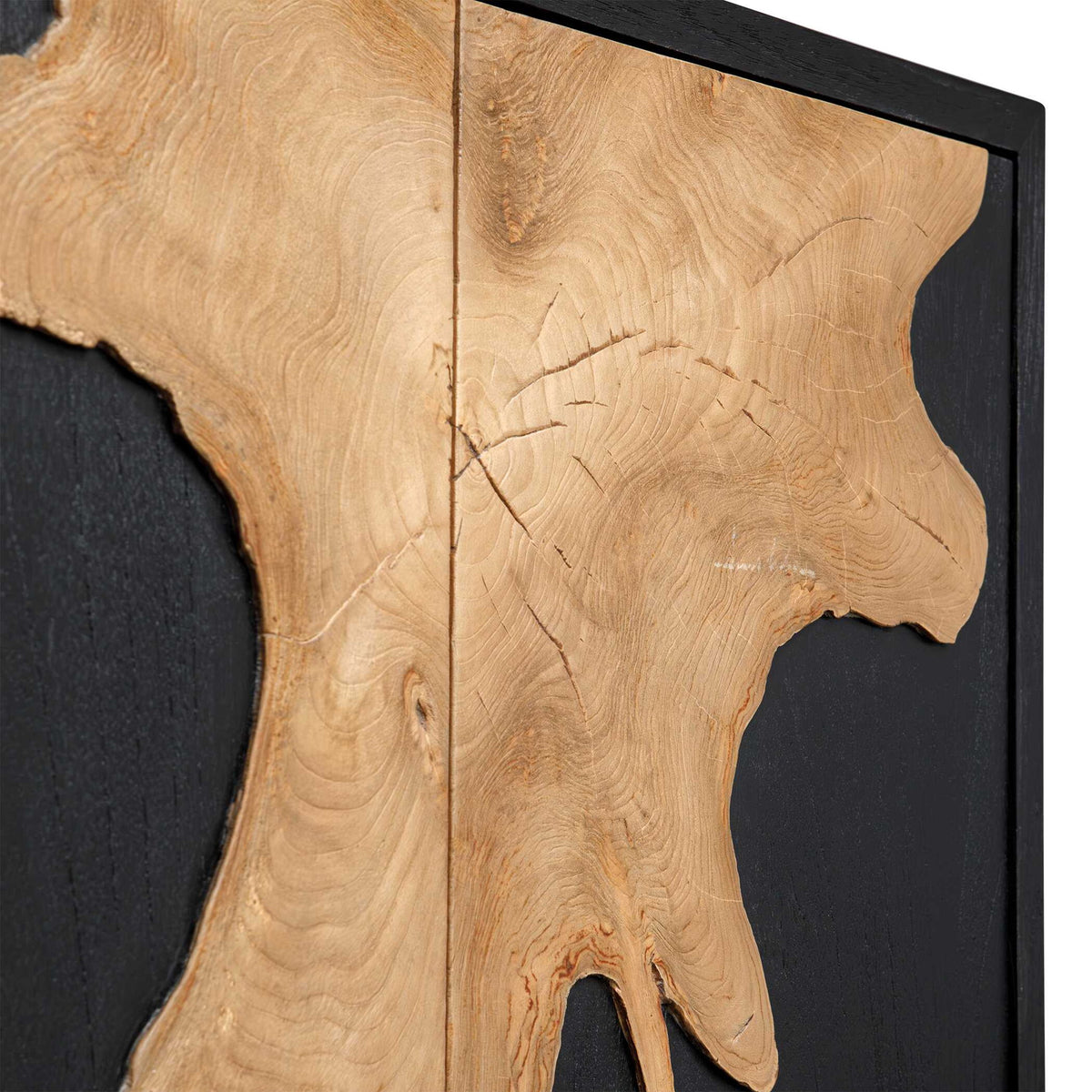 Andrei - Teak Root 2 Door Cabinet - Black / Woodtone