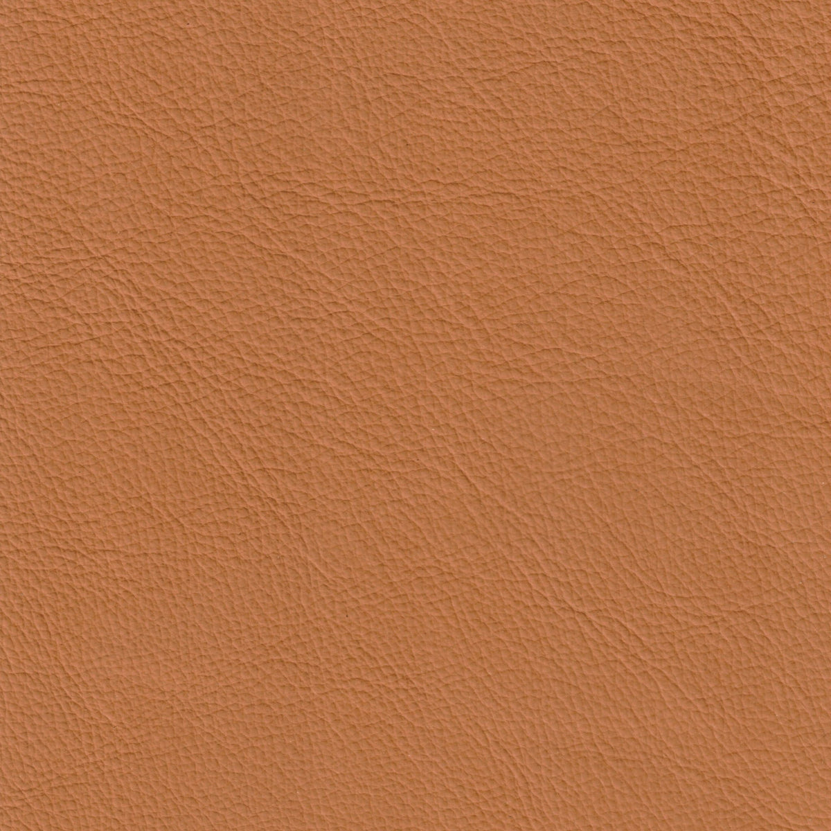 Cleopatra - Office Chair