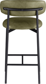 Lupita - Counter Stool (Set of 2)