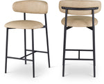 Lupita - Counter Stool (Set of 2)