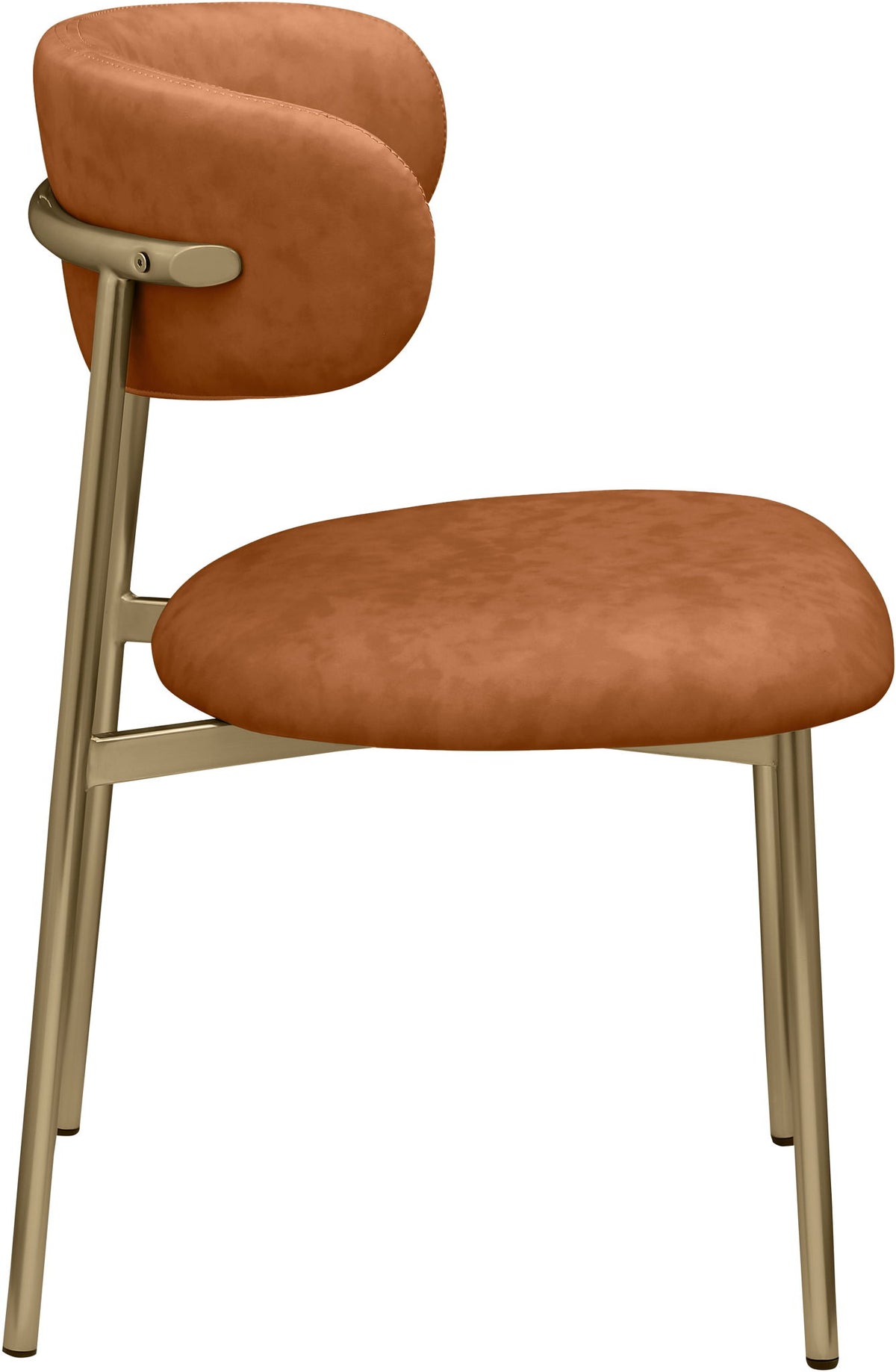 Lupita - Dining Chair With Brushed Gold Legs (Set of 2)