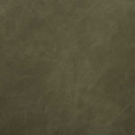 Conifer - Pine Dining Armchair - Green