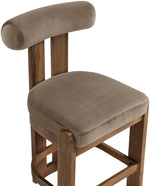 Arienzo - Velvet Upholstered Counter Stool (Set of 2)