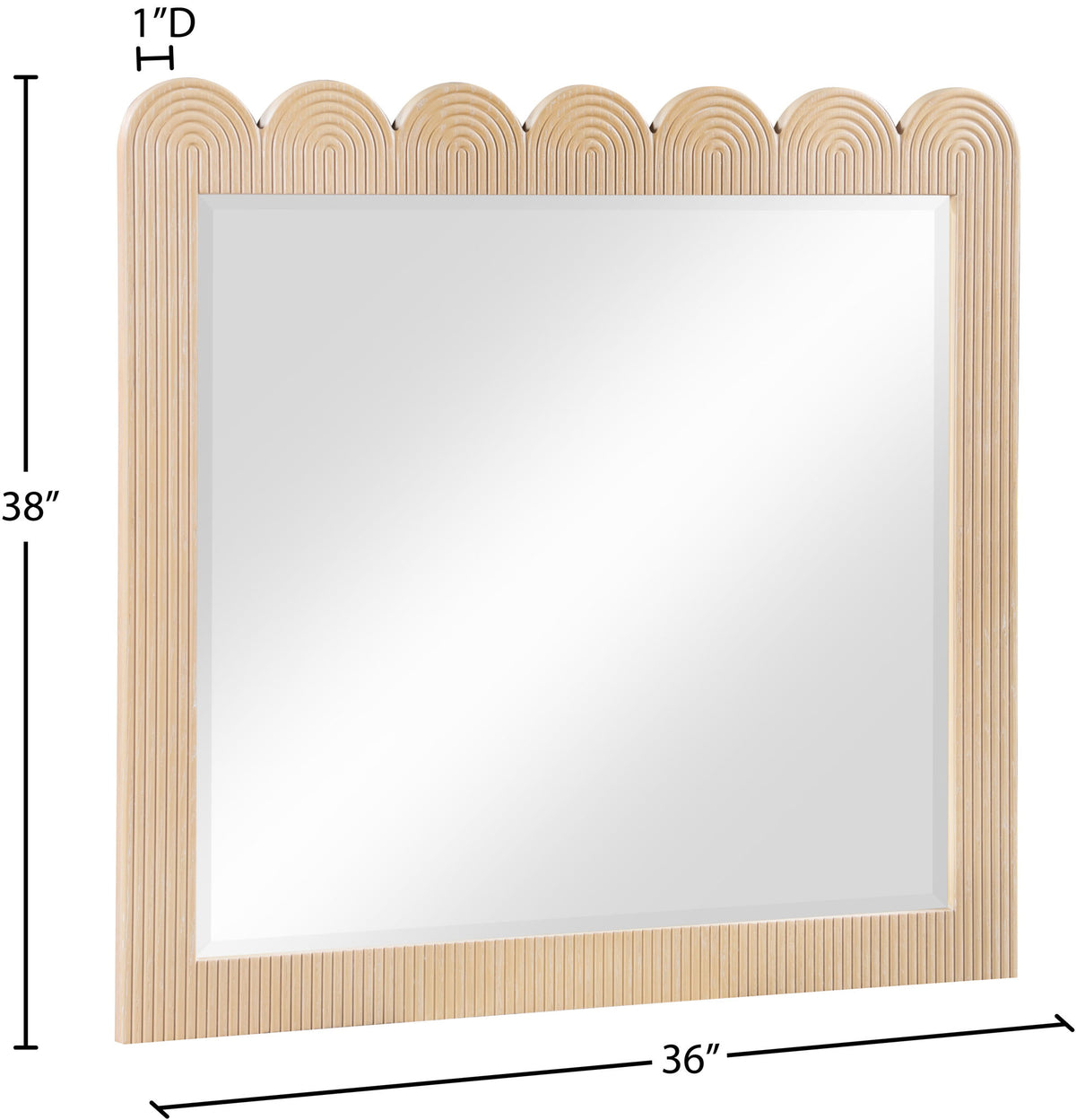 Scallop - Mirror
