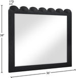 Scallop - Mirror