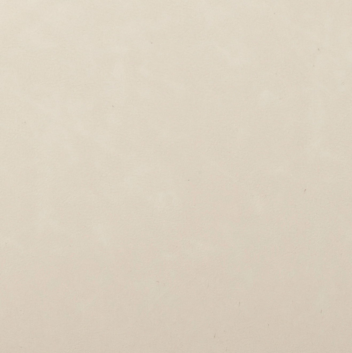 Carnation - Dining Chair