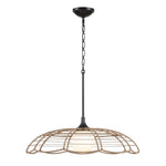 Lakeside - Indoor-Outdoor 1 Light Pendant - Black