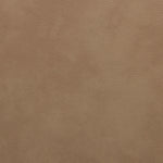 Paloma - Vegan Leather Upholstered Dining Chair (Set of 2) - Brown Frame