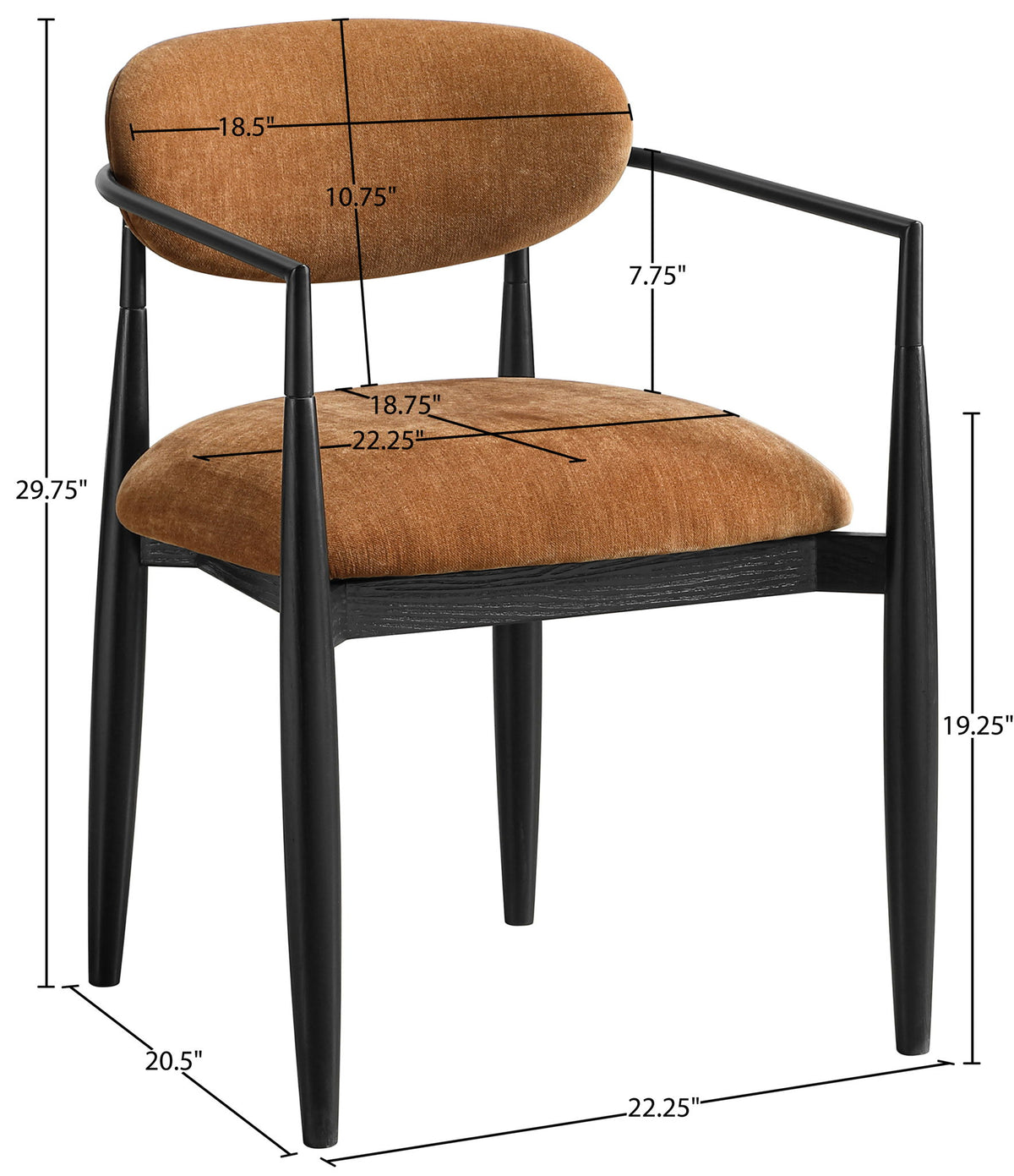 Riccio - Fabric Dining Arm Chair (Set of 2) - Black Frame