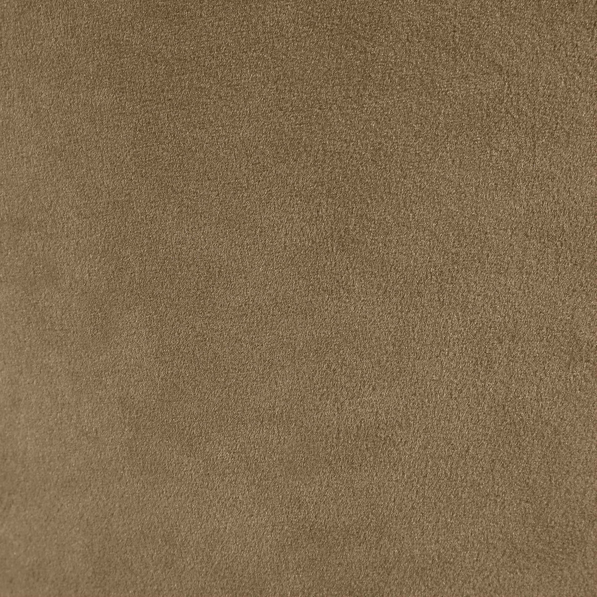Varinelle - Velvet Dining Chair (Set of 2) - Walnut Frame