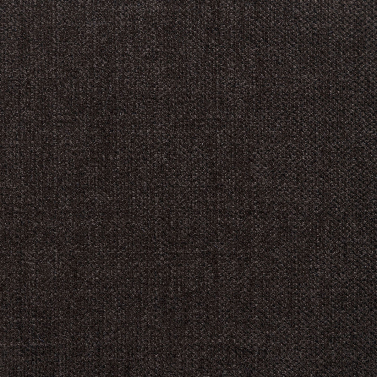 Bloom - Accent Chair