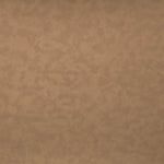 Santos - Backless Counter Stool With Stained Brown Base