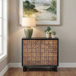 Muestra - Wood Grain 2 Door Cabinet - Black / Woodtone
