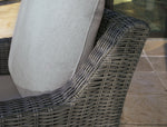 Elite Park - Swivel Lounge w/ Cushion - Gray
