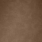 Navo - Vegan Leather Upholstered Dining Chair - Brown