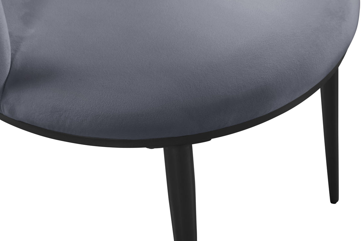 Skylar - Dining Chair (Set of 2)