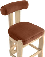 Arienzo - Velvet Performance Fabric Upholstered Counter Stool (Set of 2)