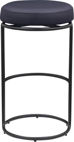 Madison - Bar Stool (Set of 2)