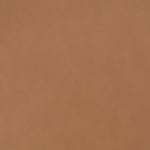 Paloma - Vegan Leather Upholstered Dining Chair (Set of 2) - Brown Frame