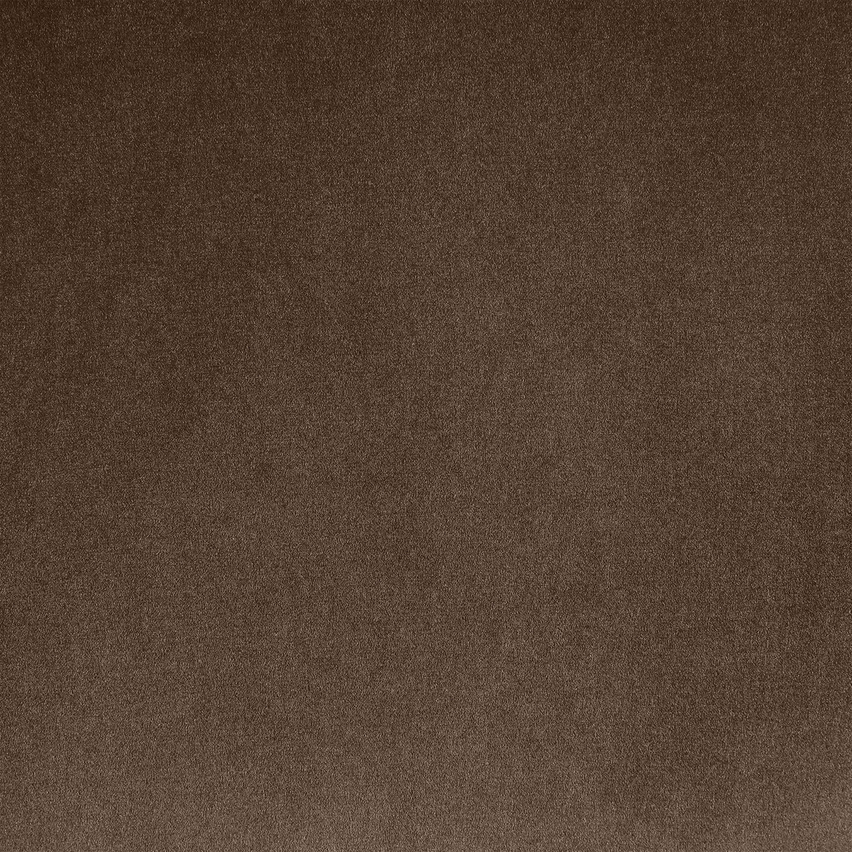 Nouveau - Accent Chair