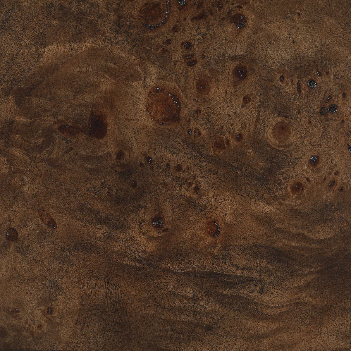 Vassa - Burl Veneer Coffee Table