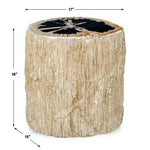 Arco - Petrified Wood Top Accent Table - Black / White