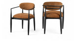 Riccio - Fabric Dining Arm Chair (Set of 2) - Black Frame