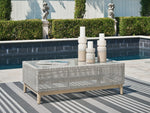 Seton Creek - Rectangular Cocktail Table - Gray