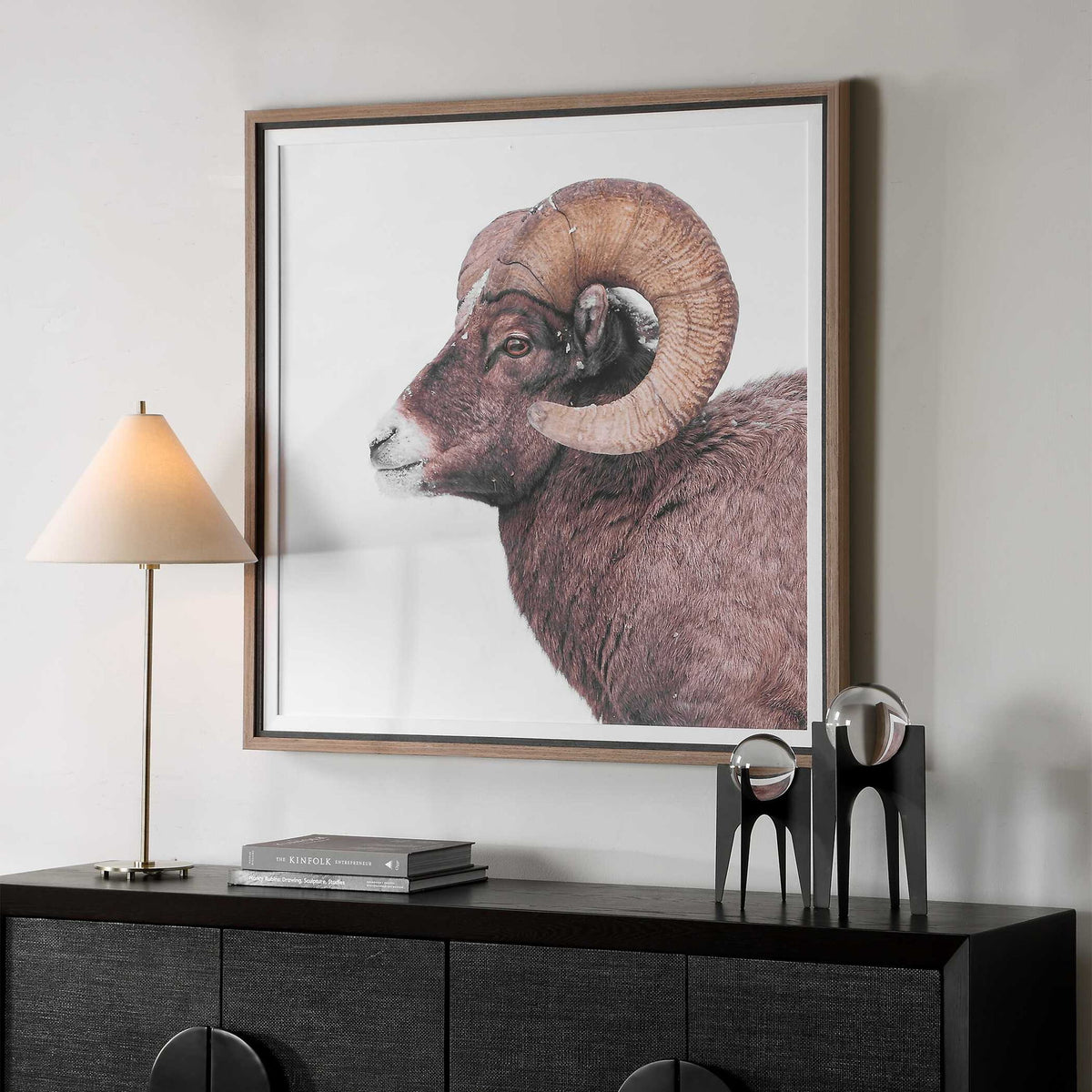 Big Horn - Sheep Framed Print - Black / Brown / White