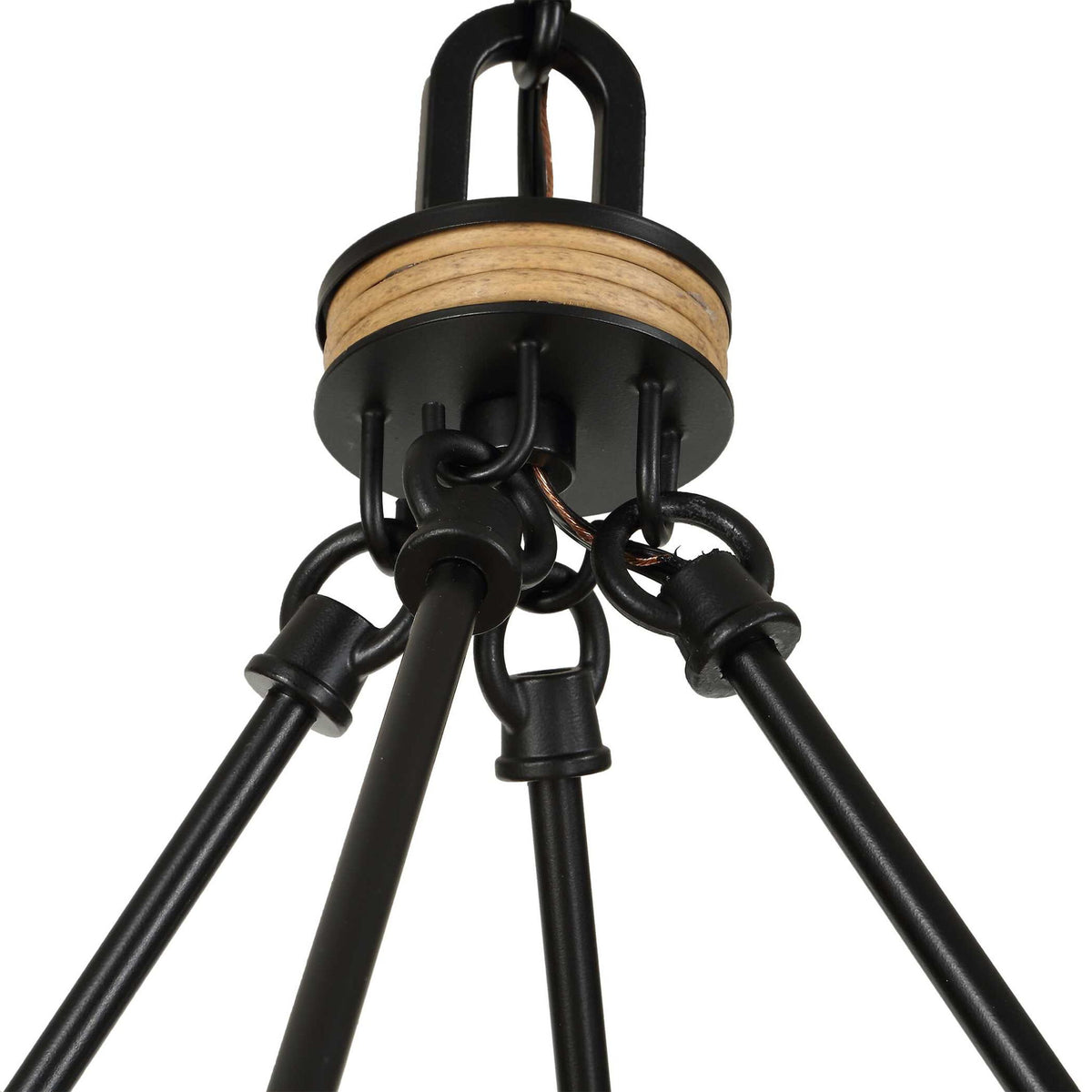 Palm Royal - 8 Light Indoor-Outdoor Chandelier - Black / Light Brown