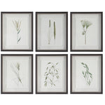 Forest - Finds Framed Prints (Set of 6)
