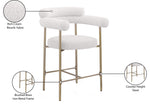 Blake - Counter Stool (Set of 2)
