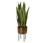 Fasita - Brass Planter (Set of 2) - Green