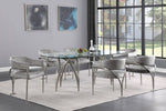 Madelyn - Dining Chair (Set of 2) - Brushed Chrome