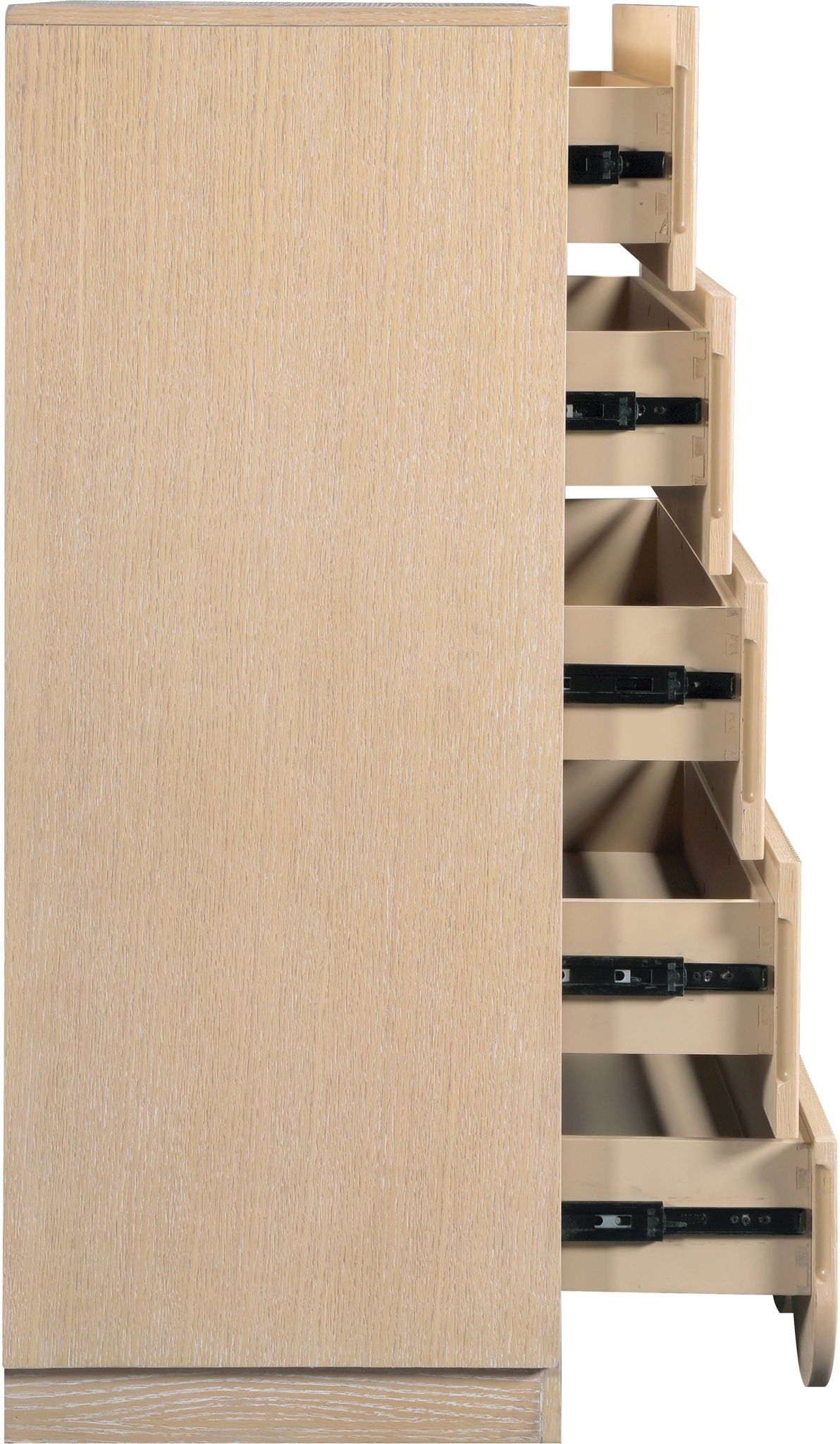 Scallop - Chest