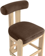 Arienzo - Velvet Performance Fabric Upholstered Counter Stool (Set of 2)