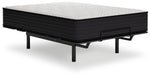 Limited Edition Plush - Mattress