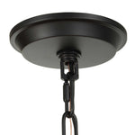 Evanston - 4 Light Indoor-Outdoor Pendant - Black