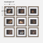 Resting Bunny - Framed Prints (Set of 9) - Dark Brown