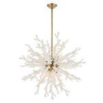 Coral Reef - 8 Light Pendant - Brass