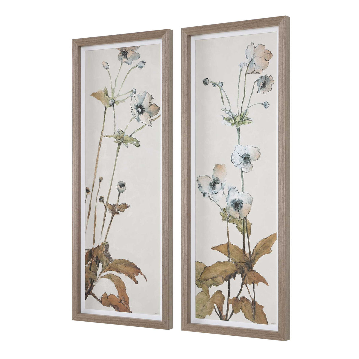 Garden - Study Framed Floral Prints (Set of 2) - Blue / Brown / Green / White