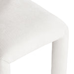 Amari - Chenille Fabric Dining Chair (Set of 2)