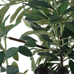 Sonora Olive - Tree In Planter - Gray / Green