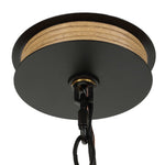Palm Royal - 8 Light Indoor-Outdoor Chandelier - Black / Light Brown