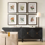 Orchid - Botanical Framed Prints (Set of 6) - Black / Blue / Gold / Green / Orange / Pink / Purple / Red