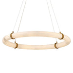 Entangled Vine - 1 Light Pendant - Brass