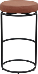 Madison - Bar Stool (Set of 2)